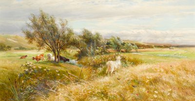 Cattle in a Water Meadow by Charles James Lewis